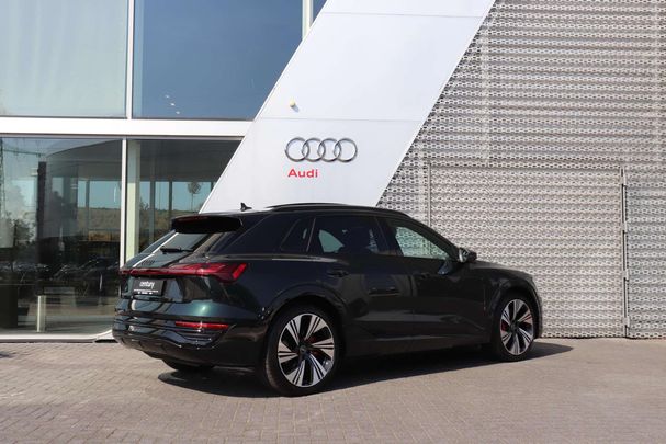 Audi Q8 55 e-tron Advanced 114 kWh 300 kW image number 1