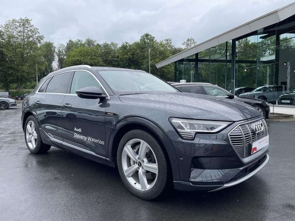 Audi e-tron 55 quattro Advanced 300 kW image number 9