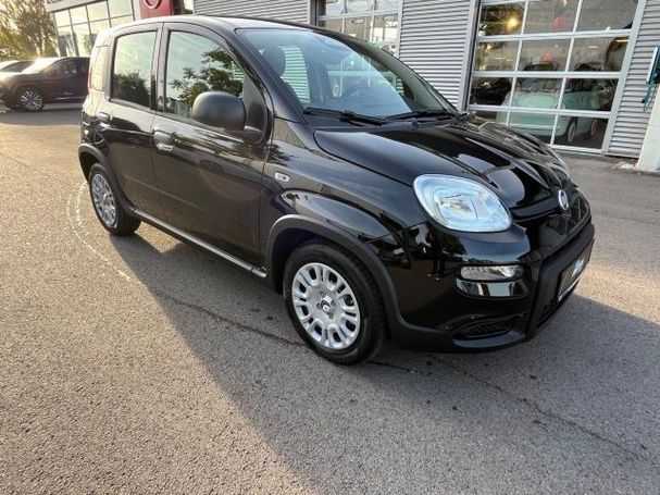 Fiat Panda 51 kW image number 3