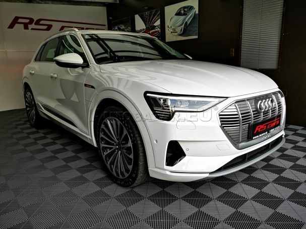 Audi e-tron 55 quattro 300 kW image number 8