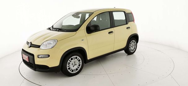 Fiat Panda 51 kW image number 1