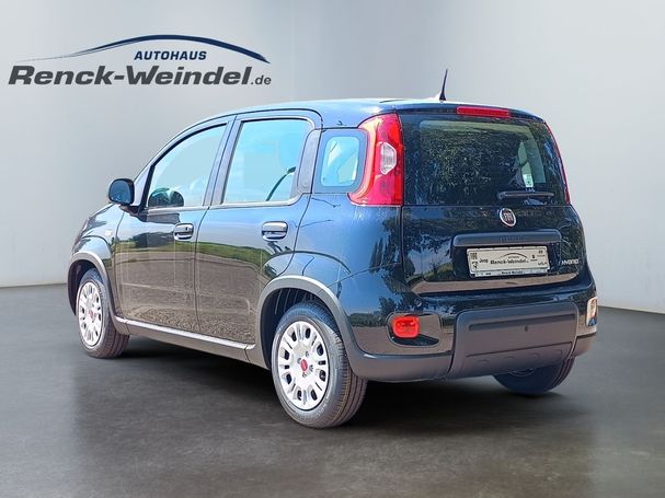 Fiat Panda 1.0 GSE 51 kW image number 5