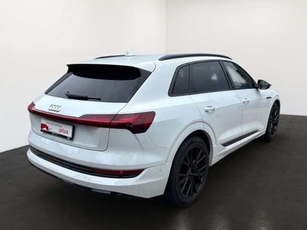 Audi e-tron 50 quattro 230 kW image number 3