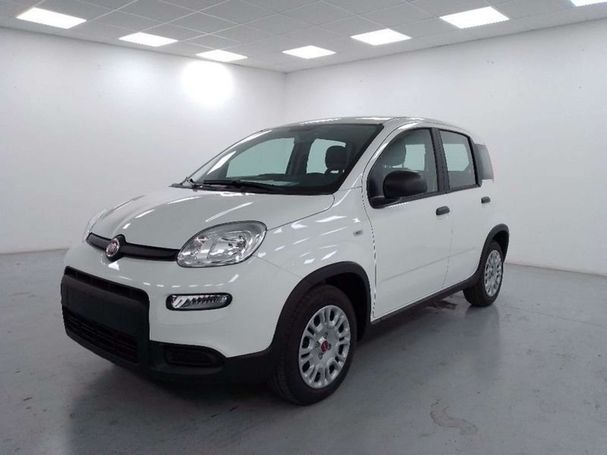 Fiat Panda 1.2 51 kW image number 1