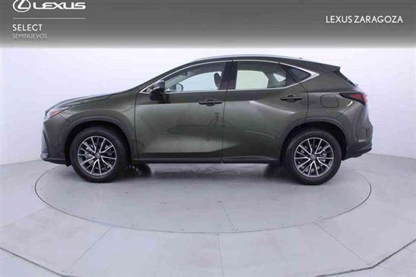 Lexus NX 350 h 178 kW image number 5