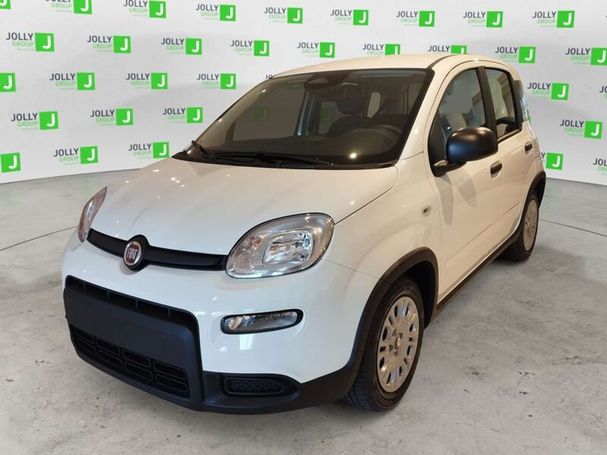 Fiat Panda 51 kW image number 1