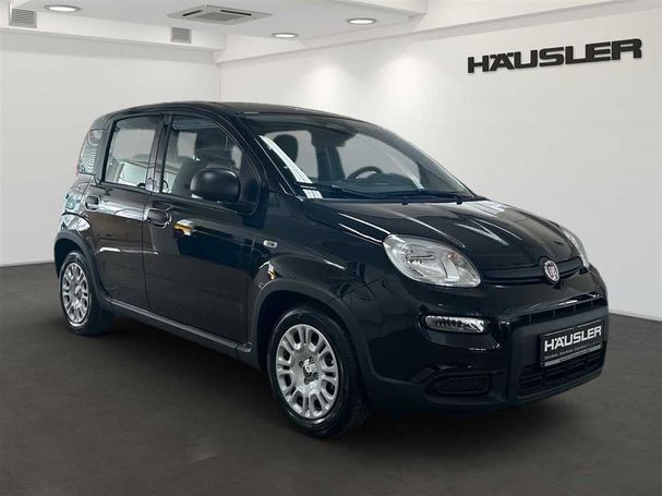 Fiat Panda 51 kW image number 3