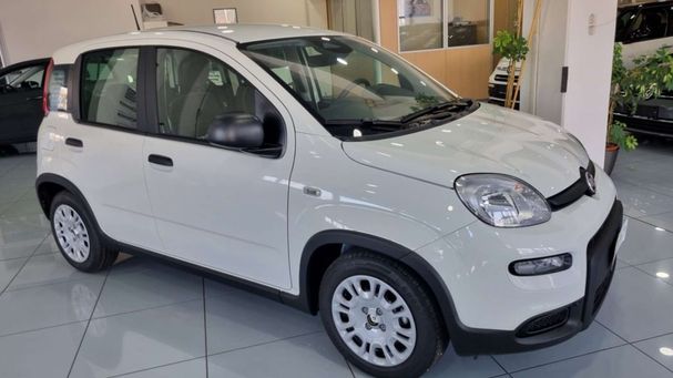 Fiat Panda 51 kW image number 2