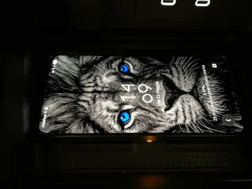 Car image 30