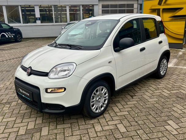 Fiat Panda 51 kW image number 1