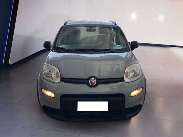 Fiat Panda 1.0 Hybrid City Life 51 kW image number 3