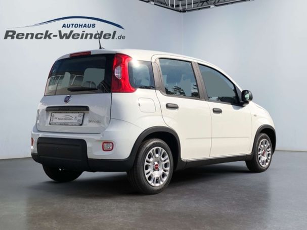 Fiat Panda 51 kW image number 3