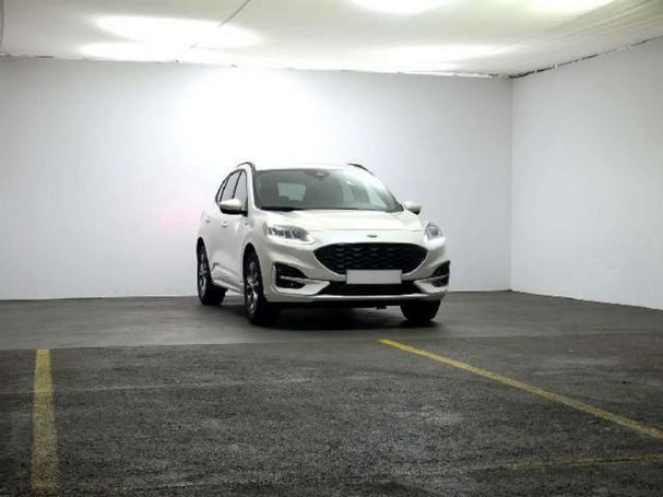 Ford Kuga 1.5 EcoBlue ST-Line 88 kW image number 3