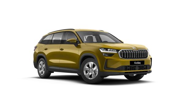 Skoda Kodiaq 110 kW image number 2