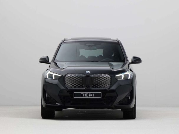 BMW iX1 xDrive30 230 kW image number 2