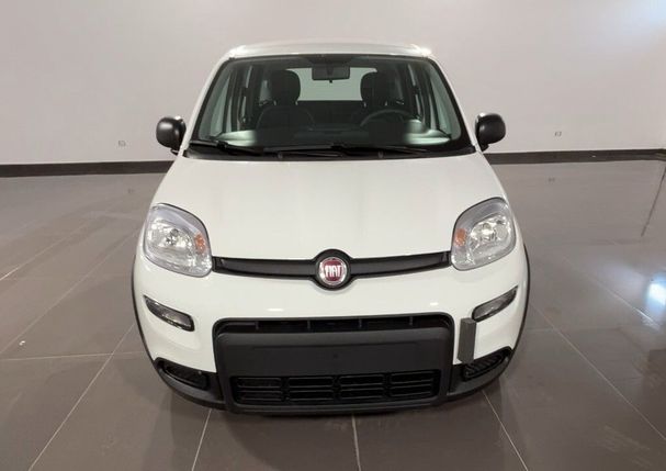 Fiat Panda 1.0 Hybrid City Life 52 kW image number 15