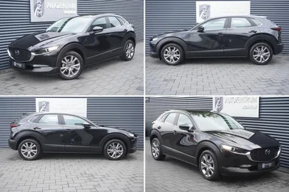 Car image 19