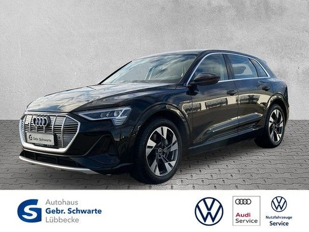 Audi e-tron quattro S-line 230 kW image number 1