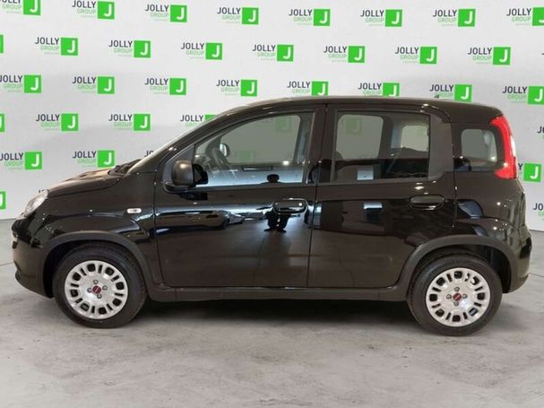 Fiat Panda 1.0 Hybrid 51 kW image number 5