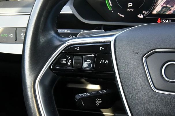 Audi e-tron 50 quattro 230 kW image number 34