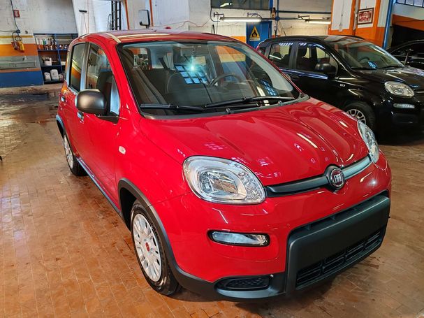 Fiat Panda 1.0 Hybrid 51 kW image number 2