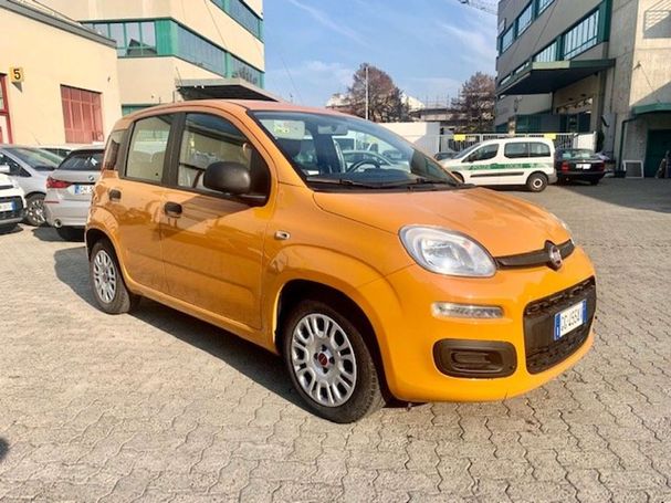 Fiat Panda 1.0 Hybrid City Life 51 kW image number 2