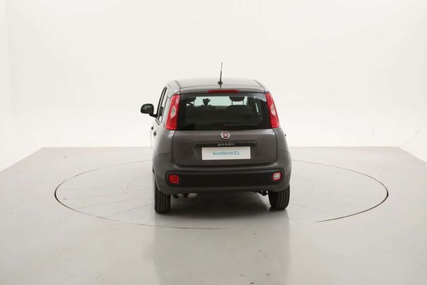 Fiat Panda 1.2 Easy 51 kW image number 3