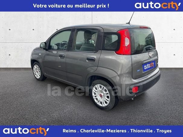 Fiat Panda 1.0 Hybrid Easy 51 kW image number 4