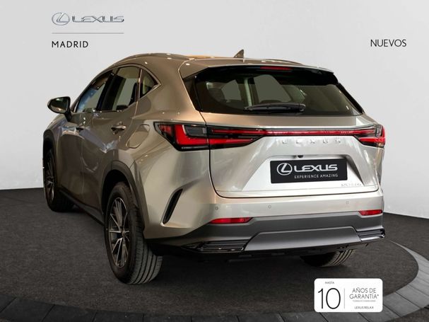 Lexus NX 350 h 178 kW image number 4