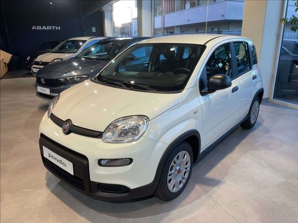 Fiat Panda 51 kW image number 1