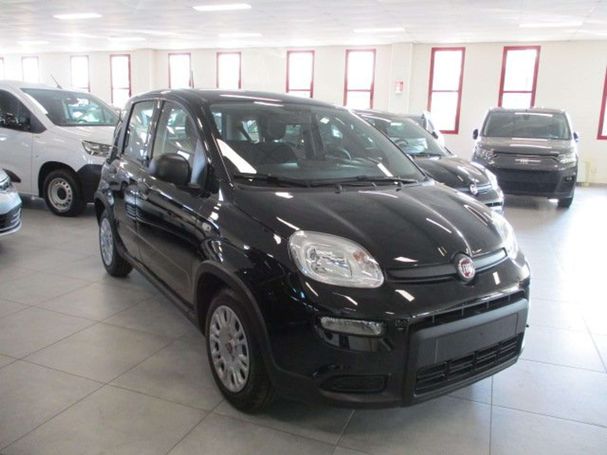 Fiat Panda 1.0 Hybrid 51 kW image number 2