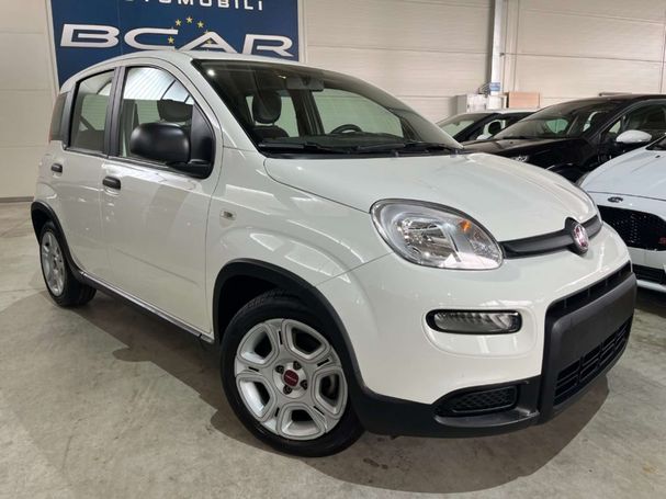 Fiat Panda 1.0 Hybrid 51 kW image number 2