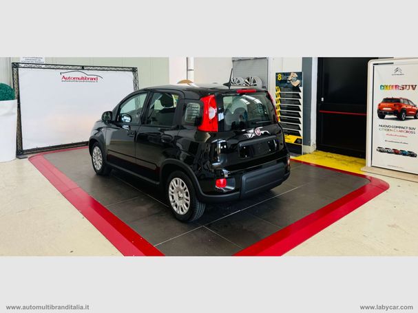 Fiat Panda 1.0 Hybrid 51 kW image number 4