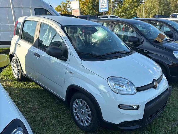 Fiat Panda 51 kW image number 3