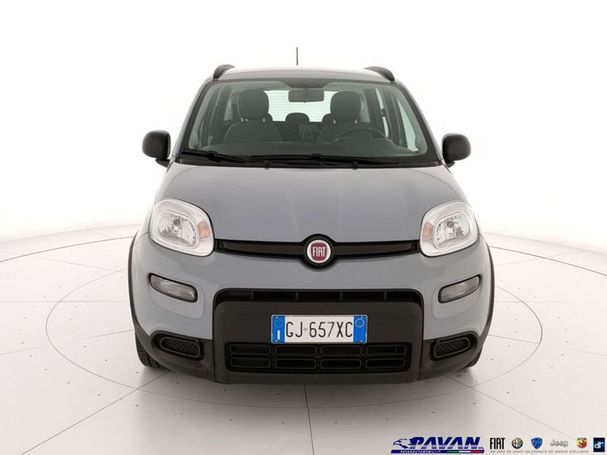 Fiat Panda 1.0 Hybrid City Life 51 kW image number 2