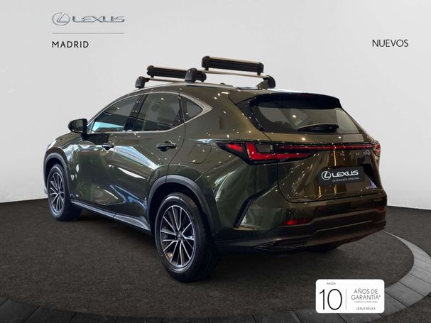 Lexus NX 350 h 178 kW image number 4