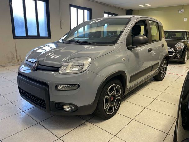 Fiat Panda 1.0 Hybrid City Life 51 kW image number 1