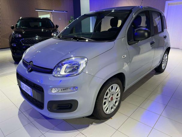 Fiat Panda 1.0 Hybrid 51 kW image number 1