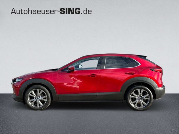 Mazda CX-30 Selection 132 kW image number 4