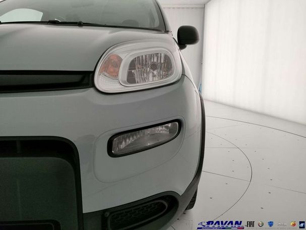 Fiat Panda 1.0 Hybrid City Life 51 kW image number 21