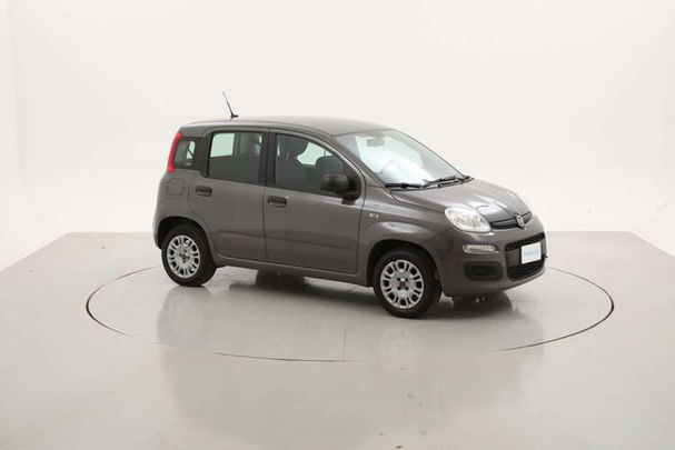 Fiat Panda 1.2 Easy 51 kW image number 8