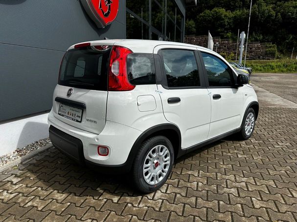 Fiat Panda Hybrid 51 kW image number 14