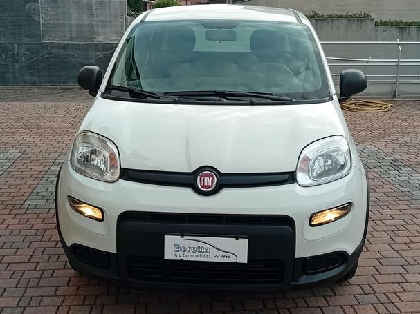 Fiat Panda 1.0 Hybrid 51 kW image number 3