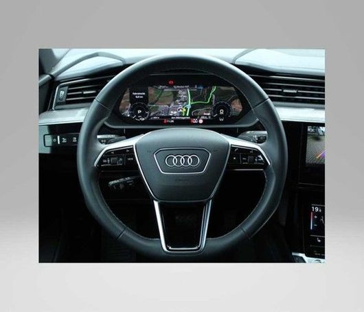 Audi Q8 55 quattro e-tron S-line 300 kW image number 14