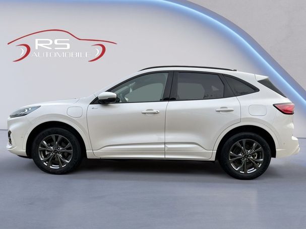 Ford Kuga 165 kW image number 5