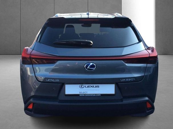 Lexus UX 250h 135 kW image number 5