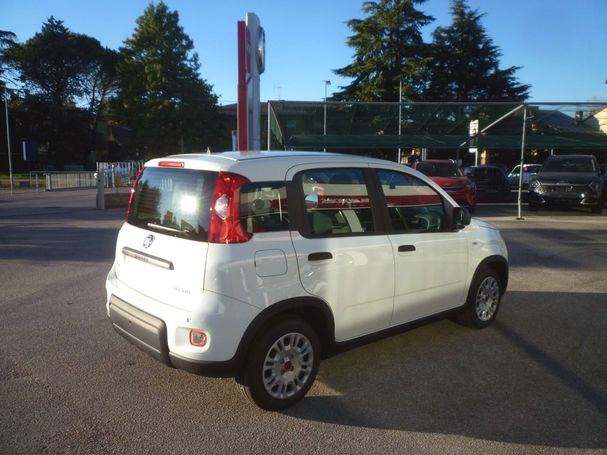 Fiat Panda 1.0 Hybrid 51 kW image number 2