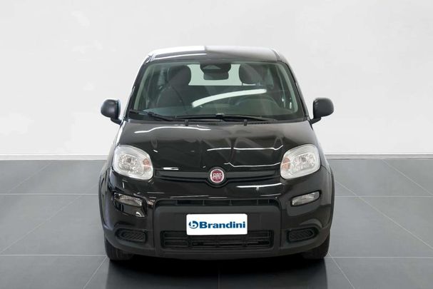 Fiat Panda 51 kW image number 2