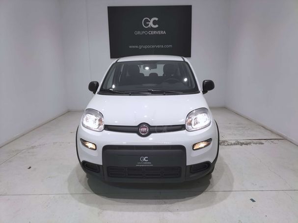 Fiat Panda 51 kW image number 3