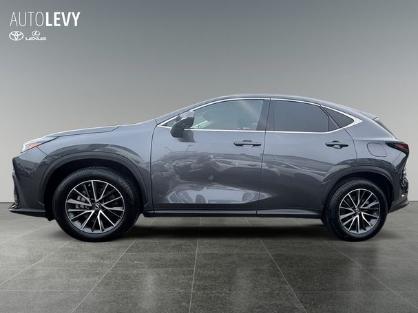 Lexus NX 450 h 227 kW image number 4